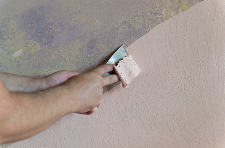 6 порад, як правильно пофарбувати пофарбовану стіну
